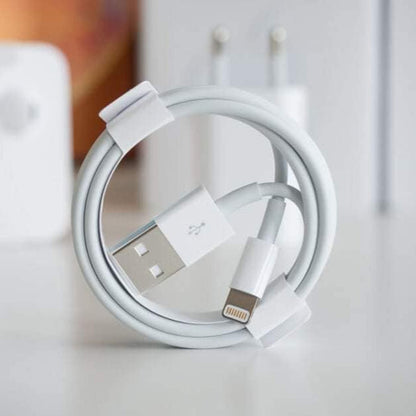 كابل ANKER (lightning x USB)