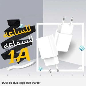 راس شحن 1 امبير ( للساعه و السماعه)